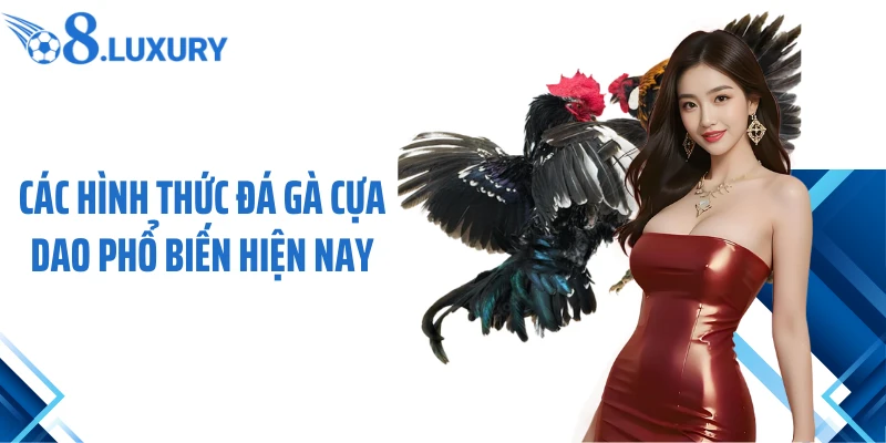 Đá Gà Cựa Dao O8 - Trải Nghiệm Cá Cược Hấp Dẫn Nhất 2026 3 Các hình thức đá gà cựa dao phổ biến hiện nay