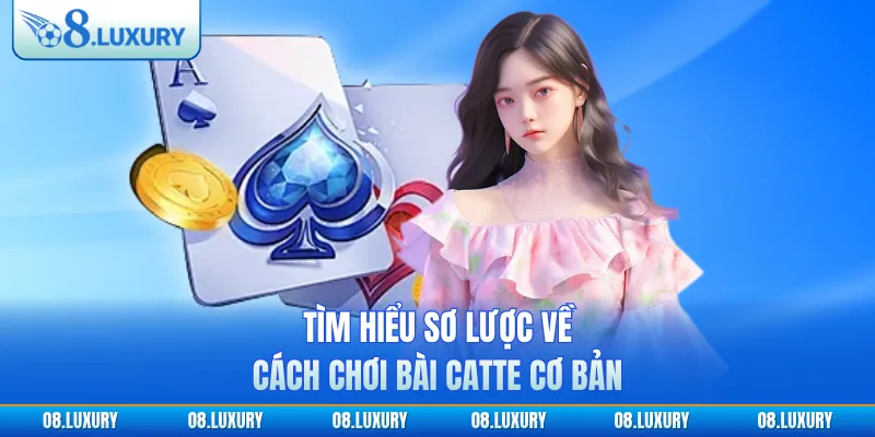 Tìm hiểu sơ lược về cách chơi bài catte cơ bản